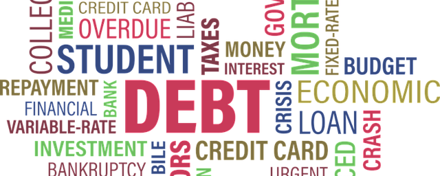 Money Mates: Module 7: Borrowing Sensibly